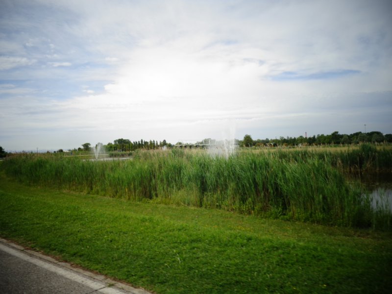 dsc06347.jpg