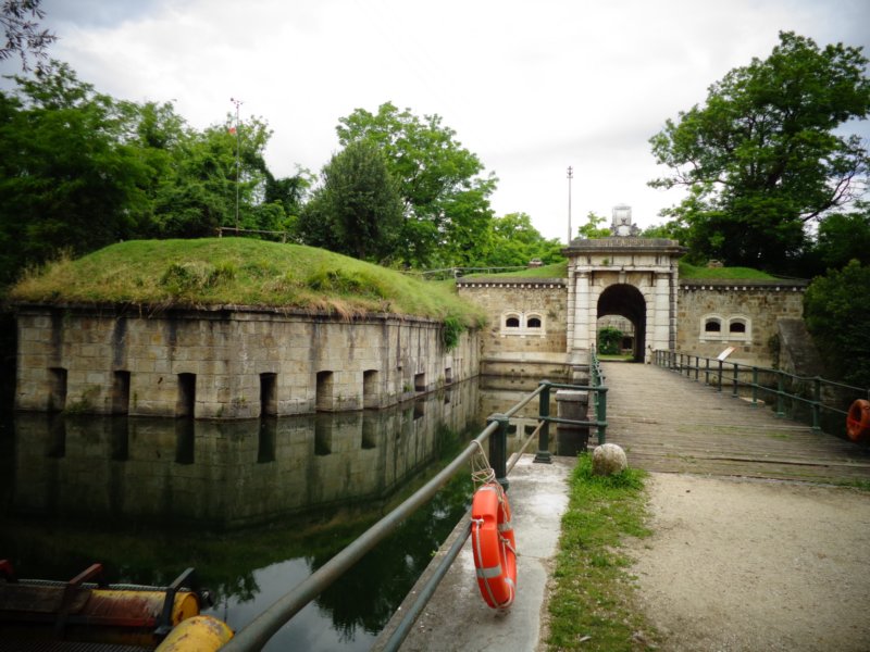 dsc06425.jpg