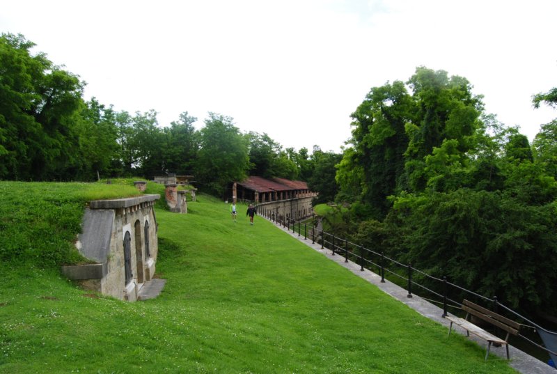dsc06431a.jpg
