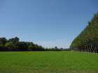 img_7102_small.jpg