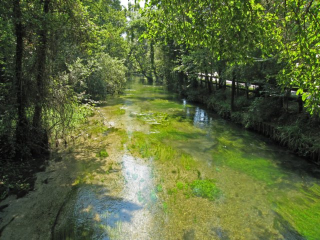 img_7105.jpg