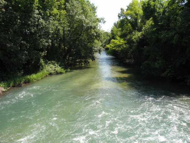 img_7107.jpg