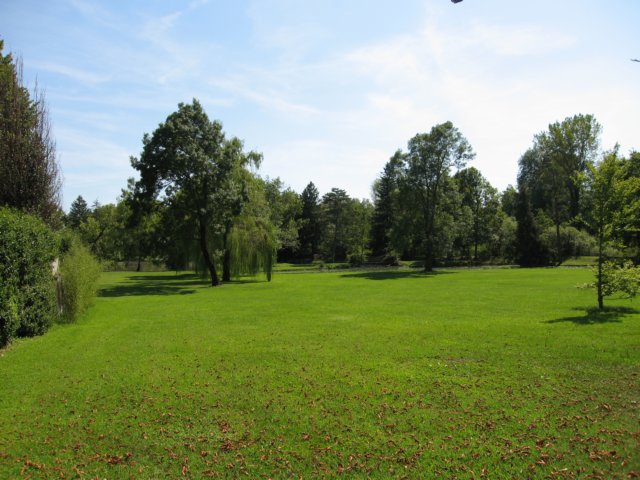 img_7124.jpg