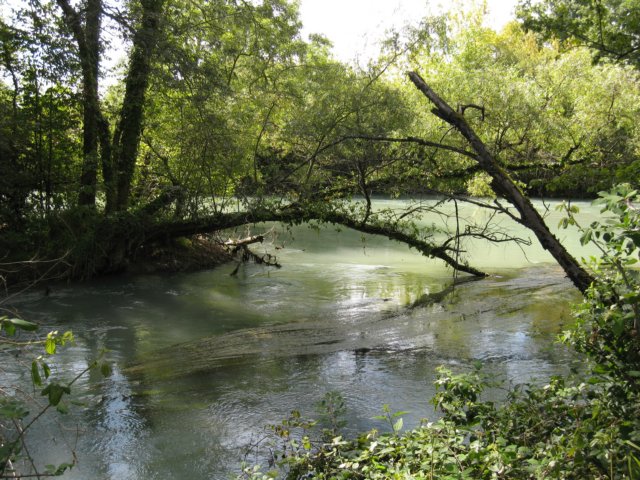 img_7241.jpg
