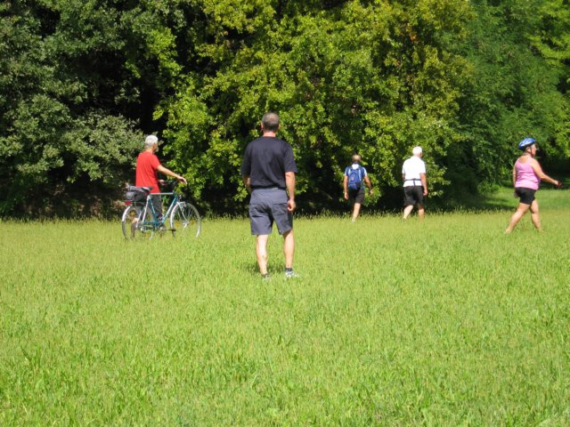 img_7249.jpg