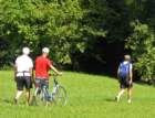 img_7250a_small.jpg