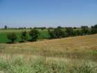 dsc01188_small.jpg
