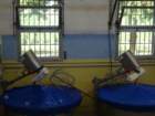 dsc00717_small.jpg