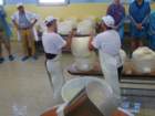dsc00763_small.jpg