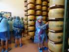 dsc00774_small.jpg