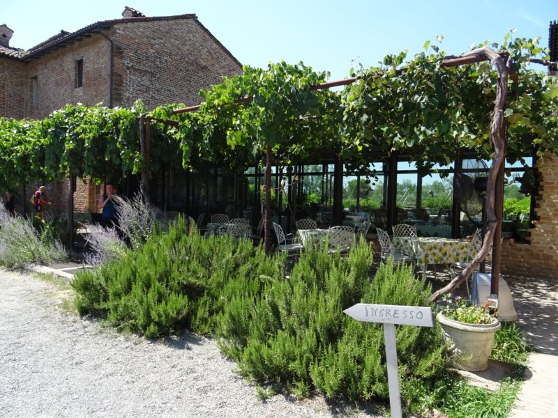 dsc00924.jpg