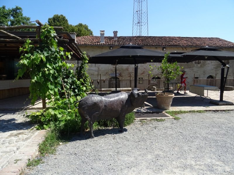 dsc00925.jpg