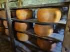 dsc00977_small.jpg