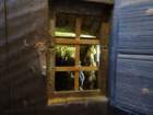 dsc00987_small.jpg