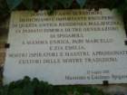 dsc00993_small.jpg
