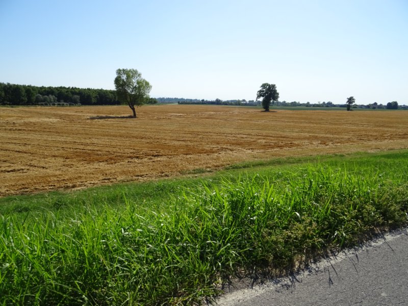 dsc00995.jpg