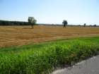 dsc00995_small.jpg