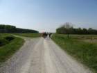 dsc00231_small.jpg