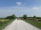 dsc00231b_small.jpg