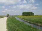 dsc00249a_small.jpg