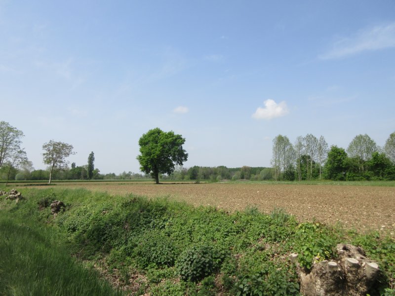 dsc00249z.jpg