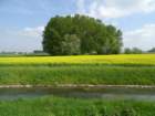 dsc00252_small.jpg