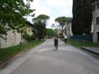dsc00262_small.jpg