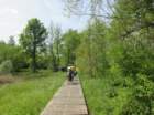 dsc00278b_small.jpg