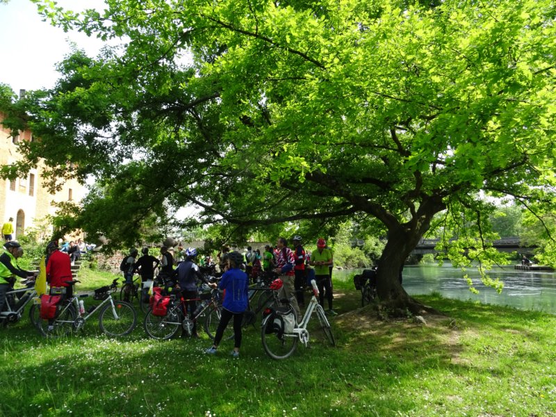 dsc00342.jpg