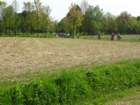 dsc00363_small.jpg