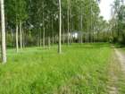 dsc00376_small.jpg