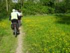 dsc00378_small.jpg