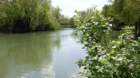 img_7185c_small.jpg