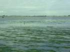 dsc07213_small.jpg