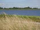 dsc07244_small.jpg