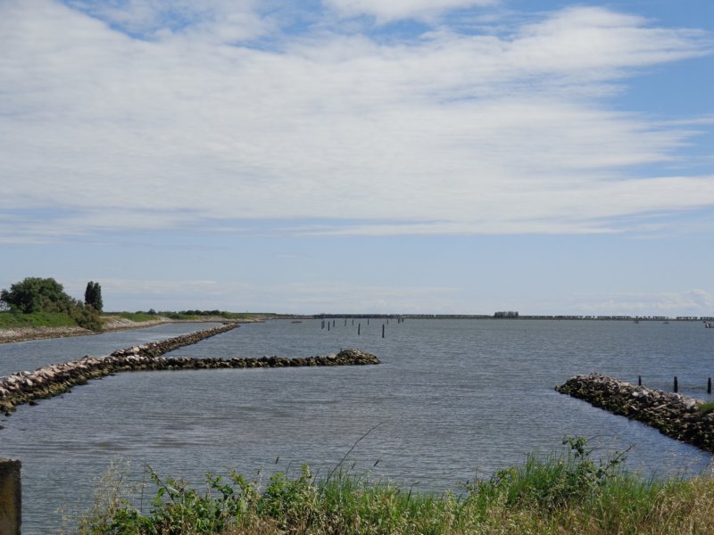 dsc07253.jpg