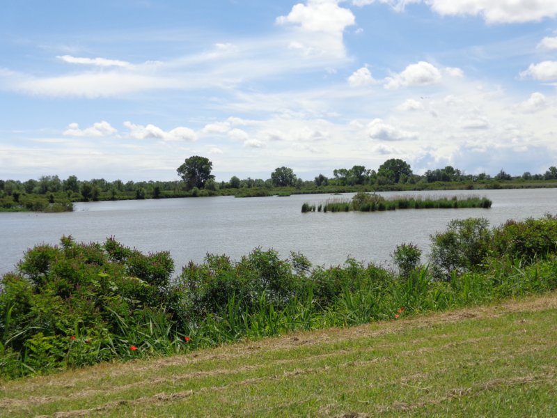 dsc07294.jpg