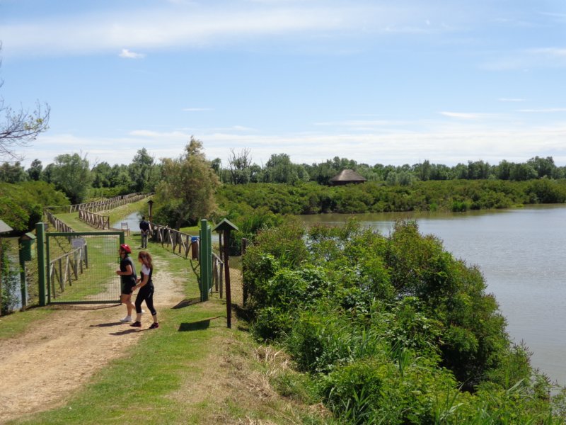 dsc07295.jpg