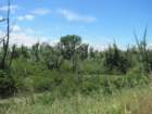 dsc07300ba_small.jpg