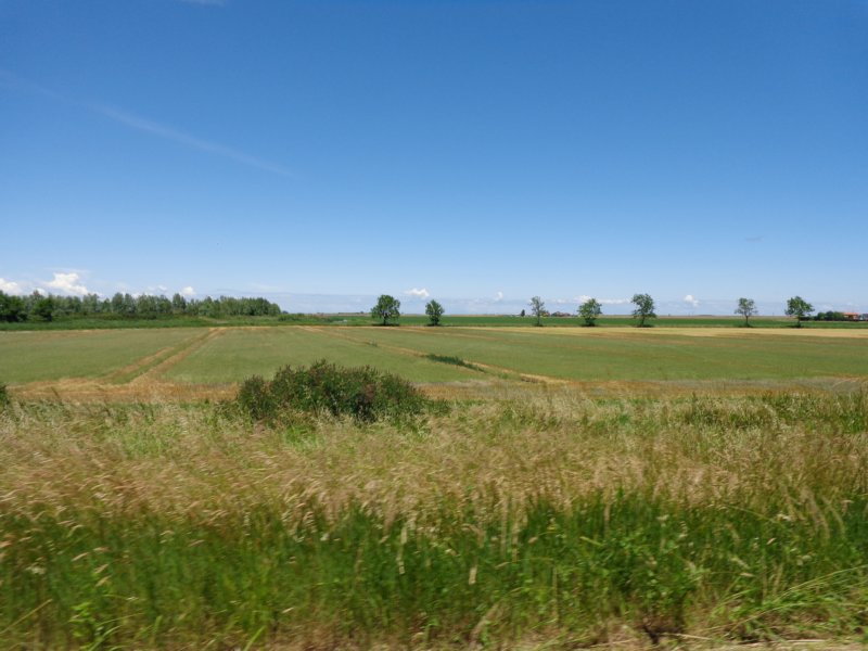 dsc07332.jpg