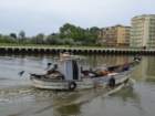 dsc05508_small.jpg