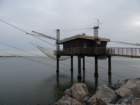 dsc05513_small.jpg