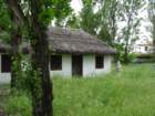 dsc05542_small.jpg