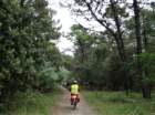 dsc055462_small.jpg