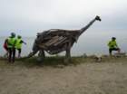 dsc05549_small.jpg