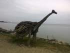 dsc05549b_small.jpg