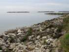 dsc055502_small.jpg
