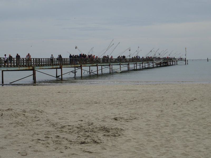 dsc05581.jpg