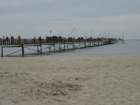 dsc05581_small.jpg