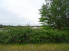 dsc05590_small.jpg